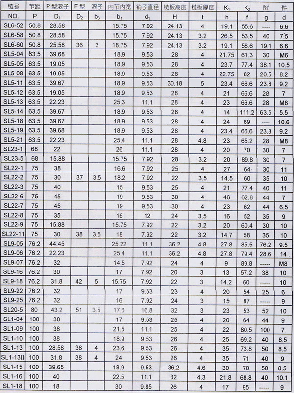 非標(biāo)輸送鏈及K型附件技術(shù)參數(shù)
